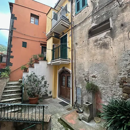 Pippo Cosy Flat With Ac *