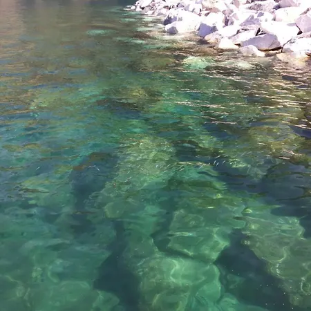 Pippo Cosy Flat With Ac