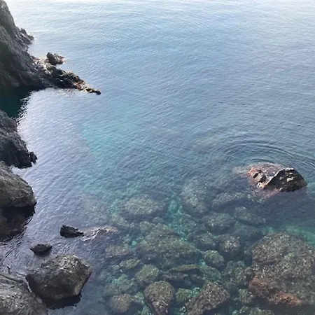 Pippo Cosy Flat With Ac Σπίτι διακοπών *